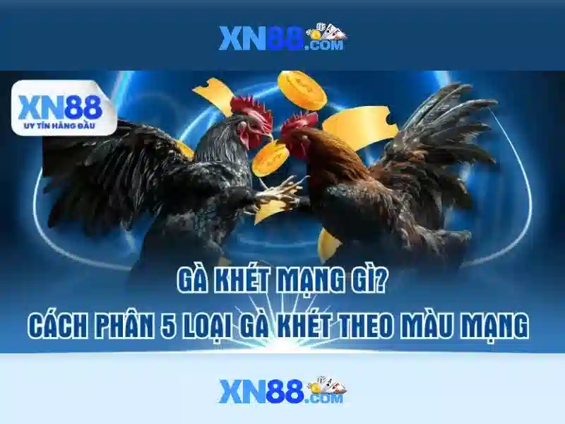 game xn88