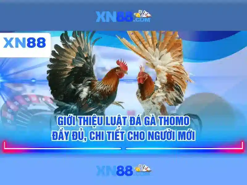 Trải Nghiệm Game Slot Đỉnh Cao Tại XN88