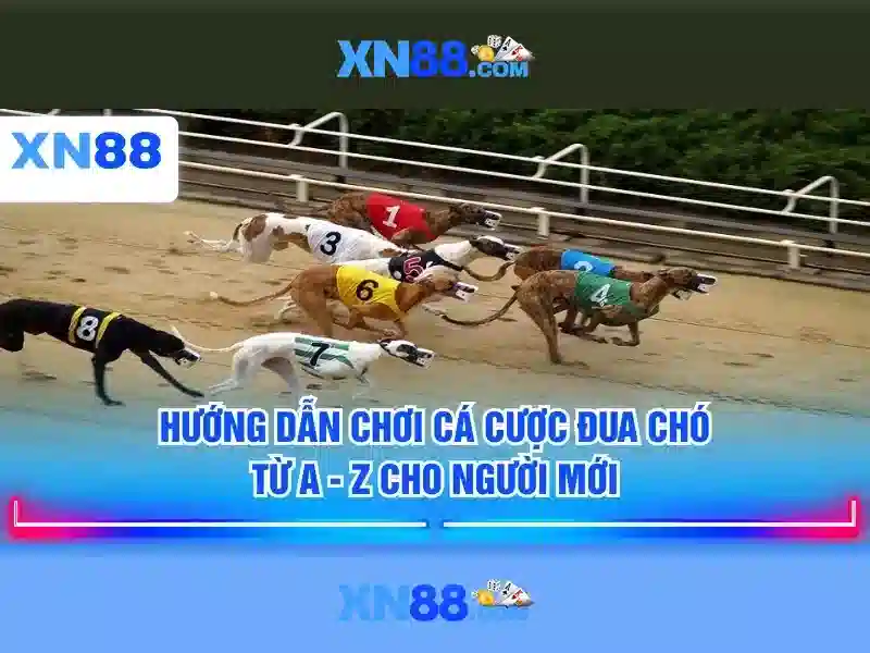 Trải Nghiệm Slot XN88
