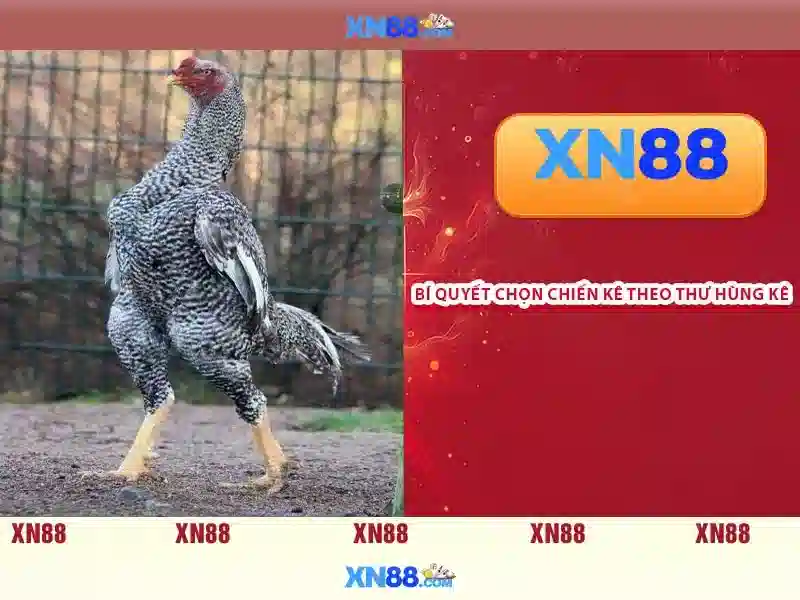 XN88 Gaming – Trải Nghiệm Sлот Đỉnh Cao Tại XN88