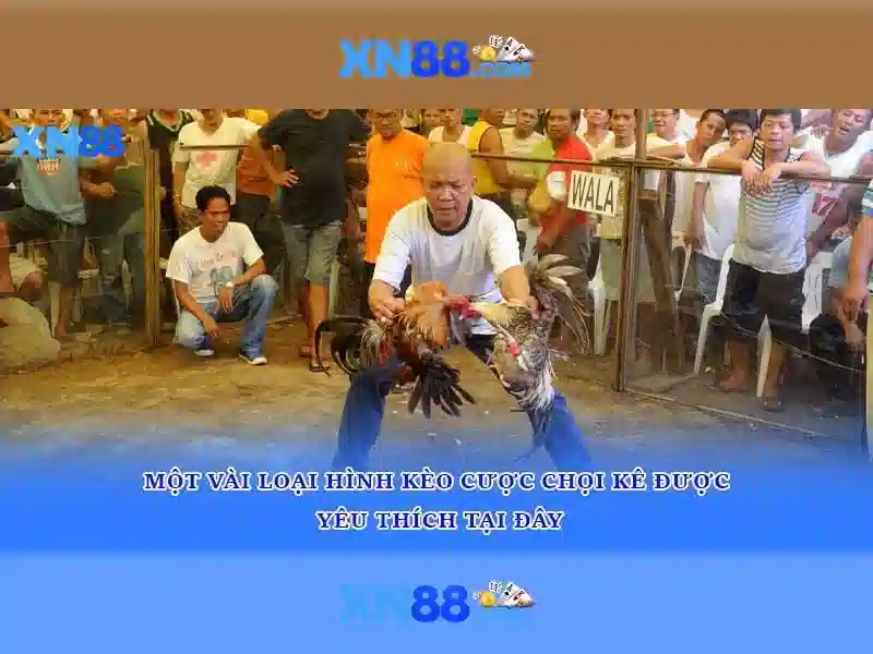 Đăng Ký XN88 - Bắt Đầu Trải Nghiệm Ngay