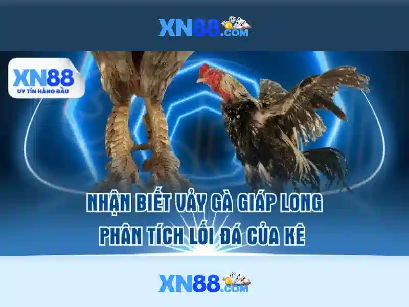 XN88 - Hướng Dẫn Đăng Nhập Nhanh Chóng Và An Toàn Cho Người Chơi Slot