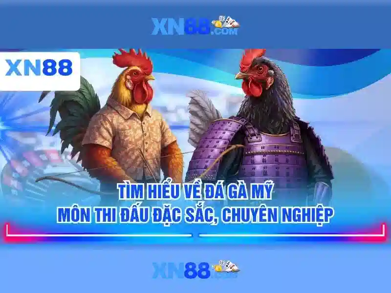 Chương trình khuyến mãi XN88