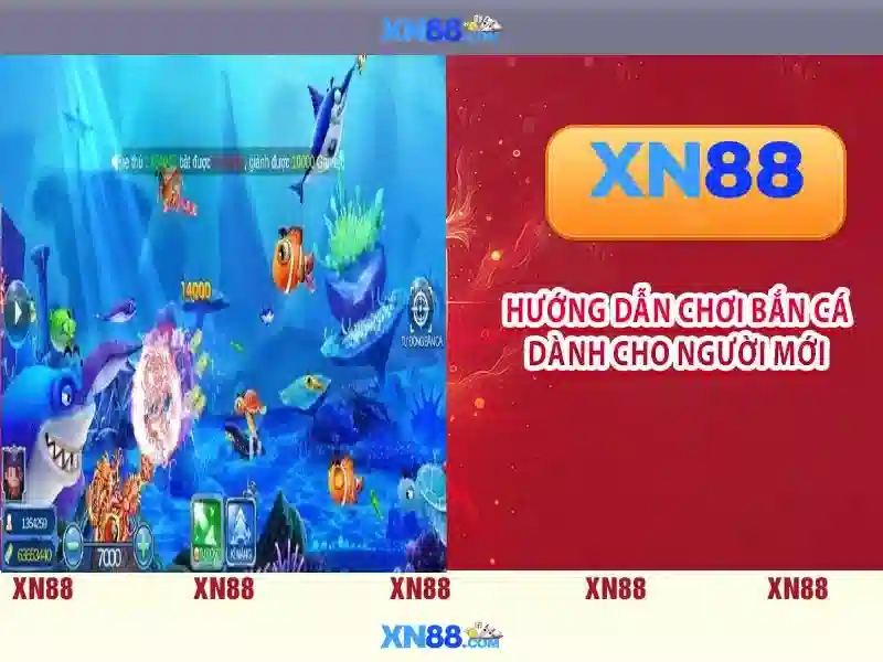Hướng Dẫn Đăng Ký