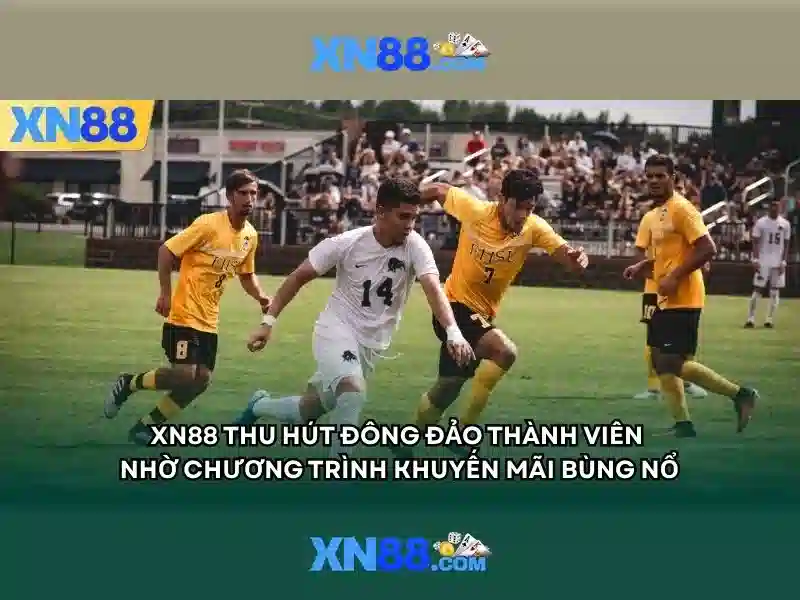 dịch vụ hỗ trợ 24/7 – Hỗ Trợ Kỹ Thuật Mọi Lúc