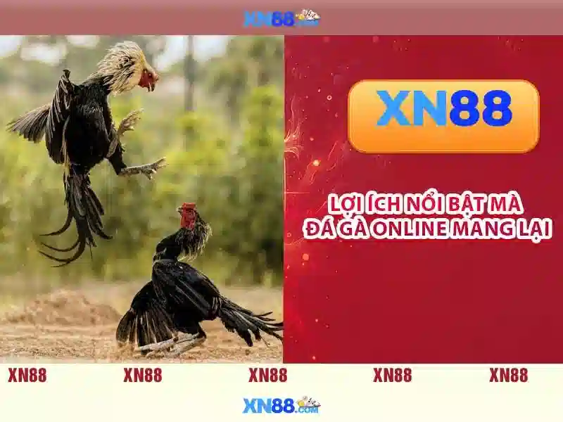 xn88 game