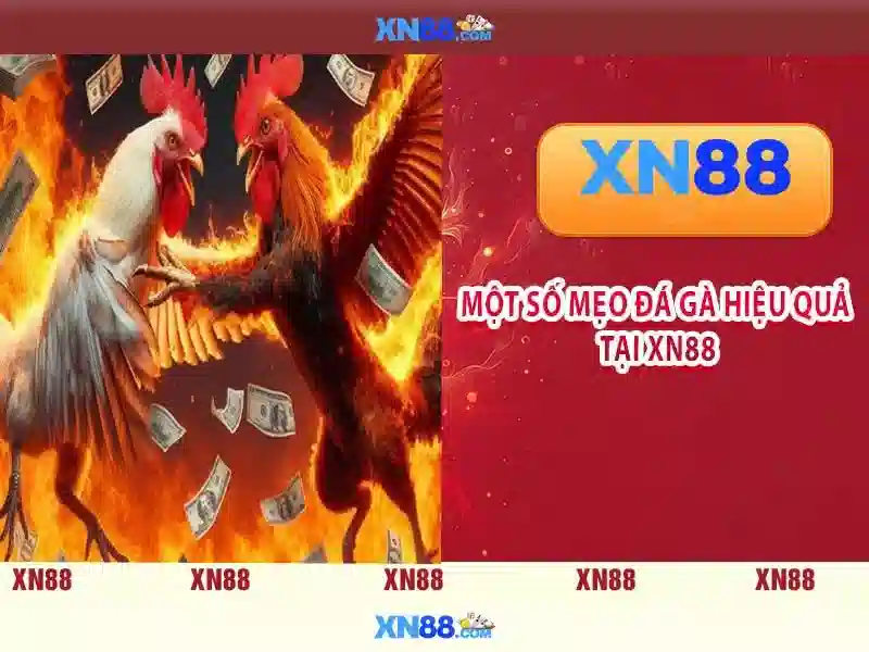 Thời Gian Hoạt Động Của Dịch Vụ Hỗ Trợ XN88