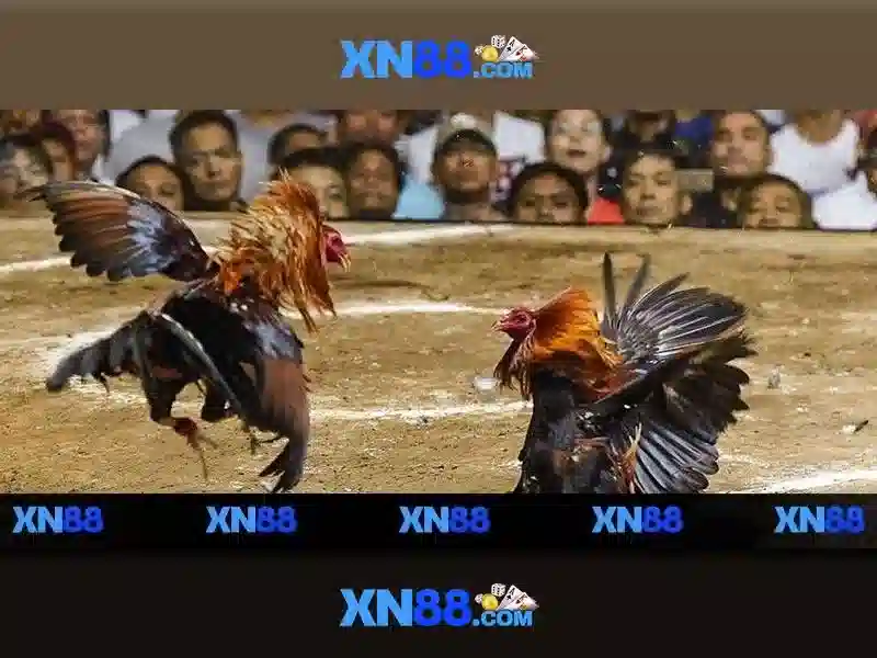 Tính Năng Slot XN88 Win
