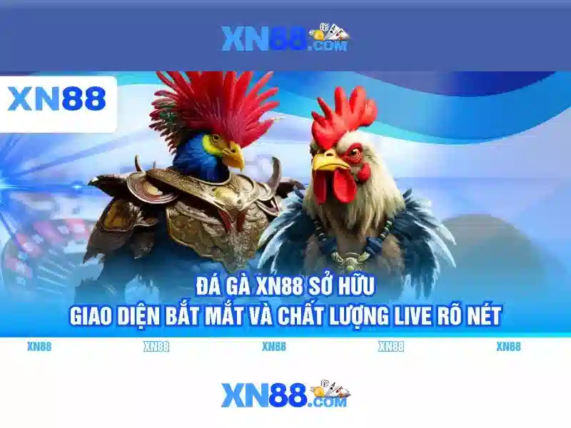 Hướng Dẫn Đăng Ký XN88 App