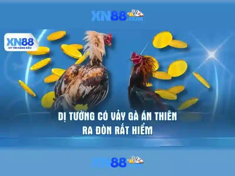 Đăng Nhập XN88 – Trải Nghiệm App Slot Độc Quyền 2026