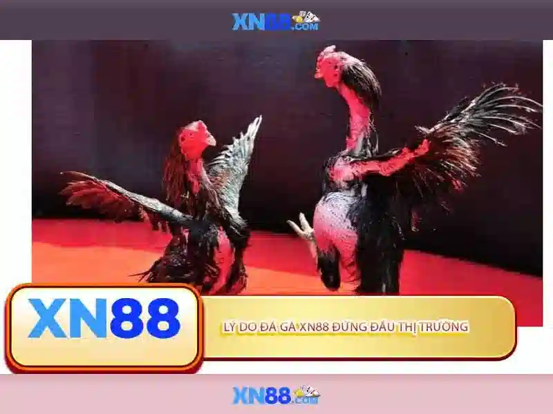 XN88 - Trải Nghiệm Cược Slot Đỉnh Cao Cùng Ưu Đãi Hấp Dẫn 2026