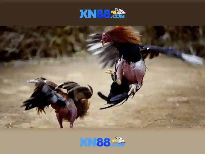 Đa dạng thể loại slot tại XN88