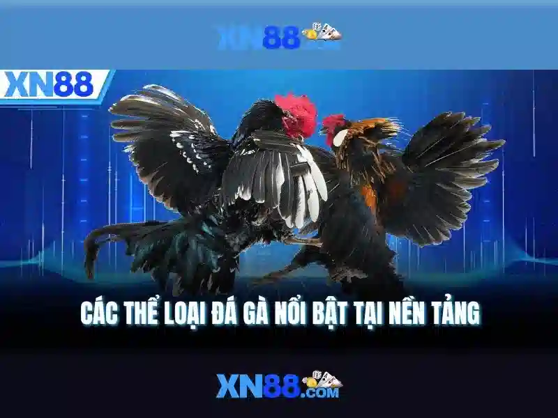 Hướng dẫn chơi Slot