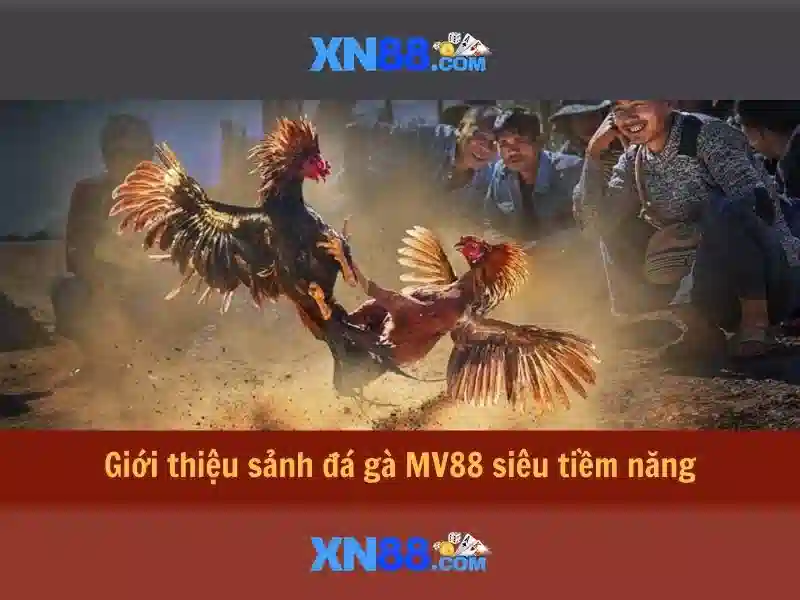 Hướng dẫn đăng nhập XN88