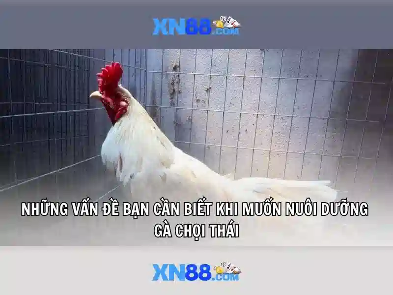 XN88 - Trải Nghiệm Trọn Vẹn Trong Thế Giới Slot Đa Dạng