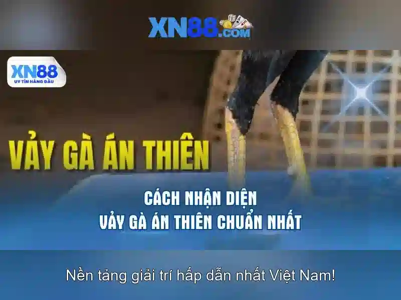 Tính Năng Chính Của App XN88