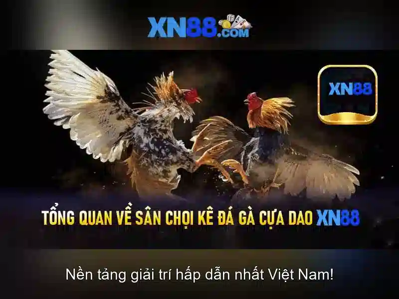 Giới Thiệu Tổng Quan Về Dịch Vụ Esport