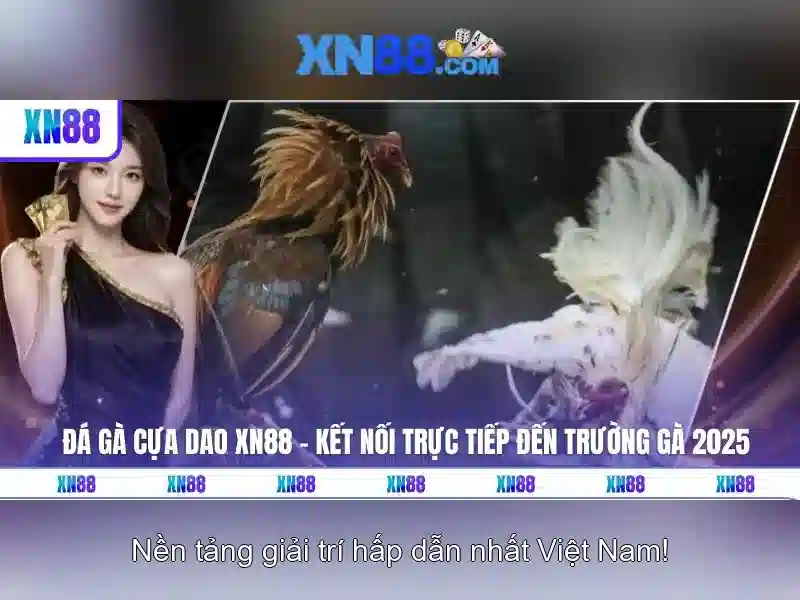 Các Loại Trò Chơi Slot Được Ưa Chuộng