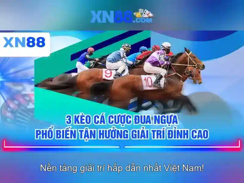 Lý Do Chọn App XN88 Cho Game Slot