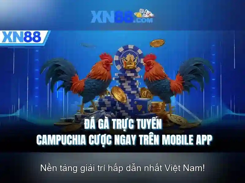 Cập Nhật Liên Tục