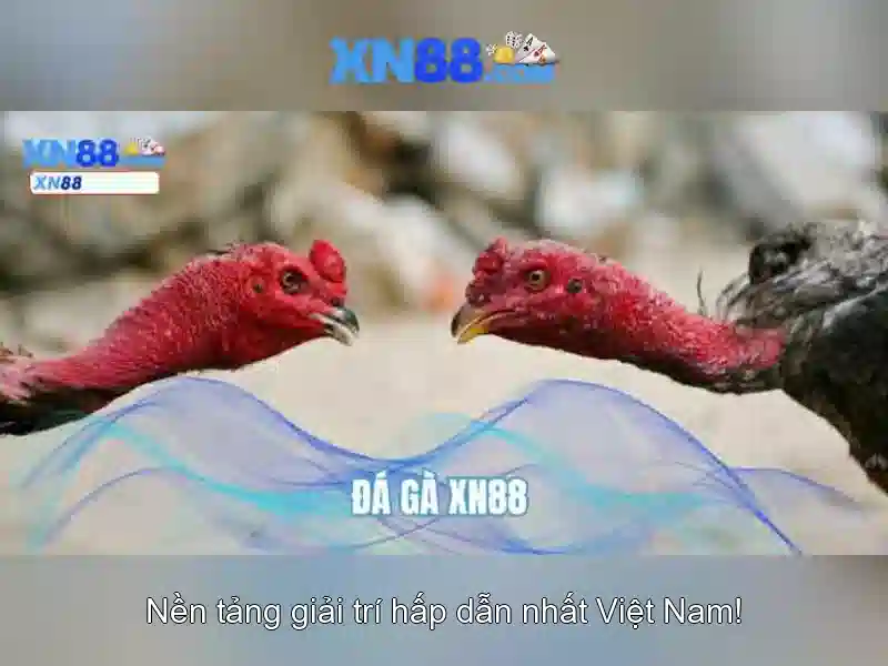 Điều kiện rút tiền