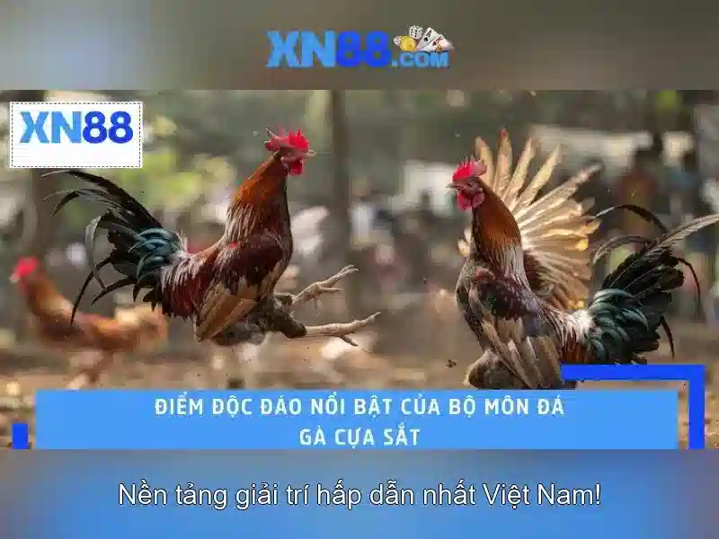 XN88 Game