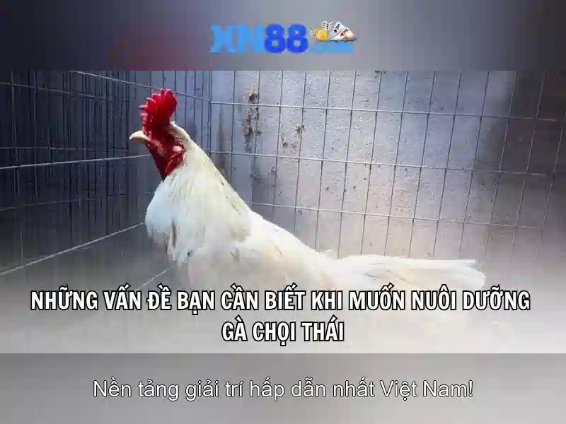 Kho Tàng Slot Đa Dạng Tại XN88 Com