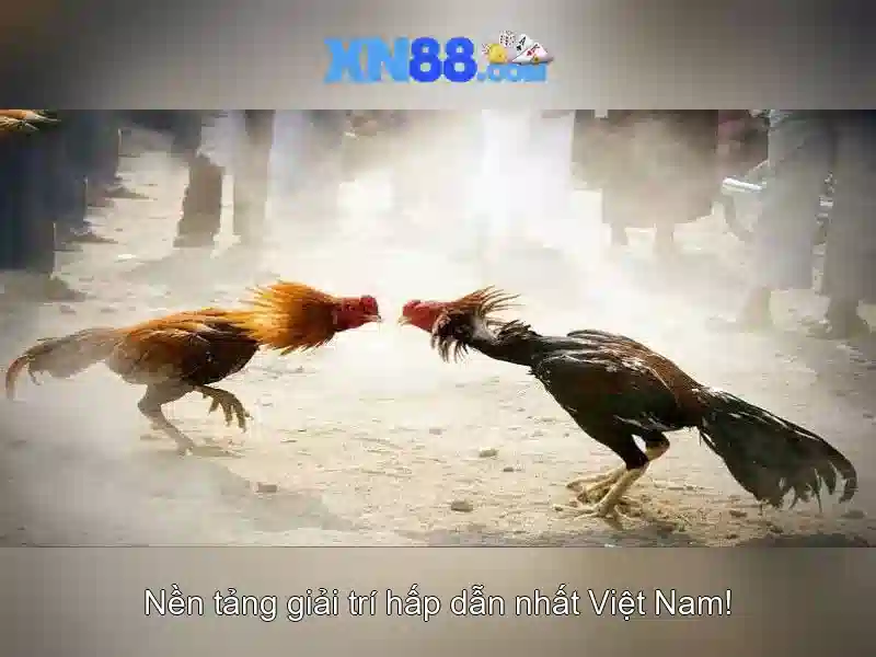 Hỗ Trợ Khách Hàng