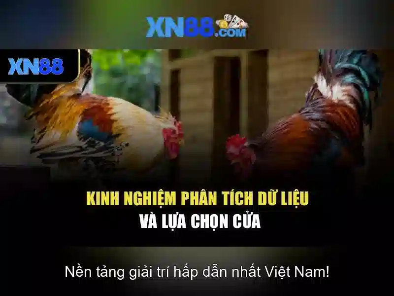 Ưu Đãi Slot