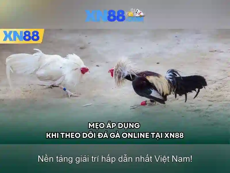 Cách Kết Nối Vào Trang Chủ XN88