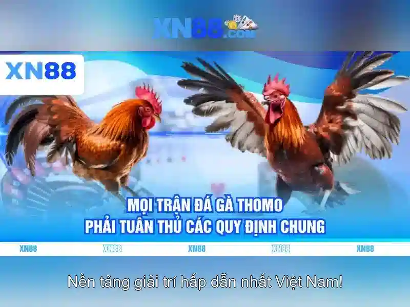 Bảo mật đăng nhập XN88