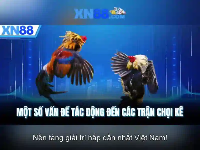Ưu đãi tải XN88 – Nhận quà tặng hấp dẫn cho người chơi mới