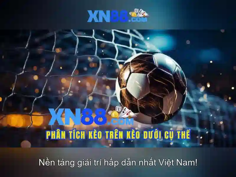 XN88 – Điều Khoản Sử Dụng App XN88