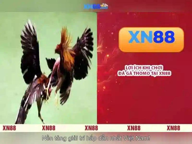 Khám phá kho game slot tại XN88 Gaming