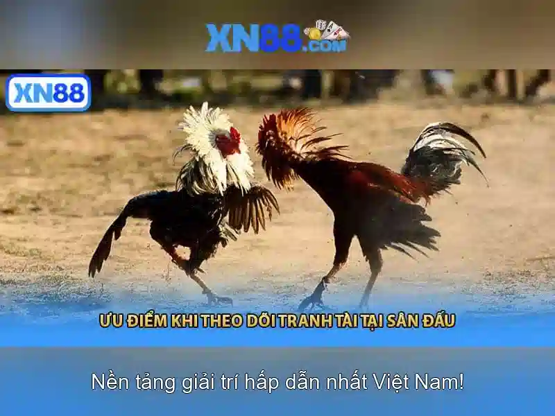 Các Trò Chơi Slot XN88