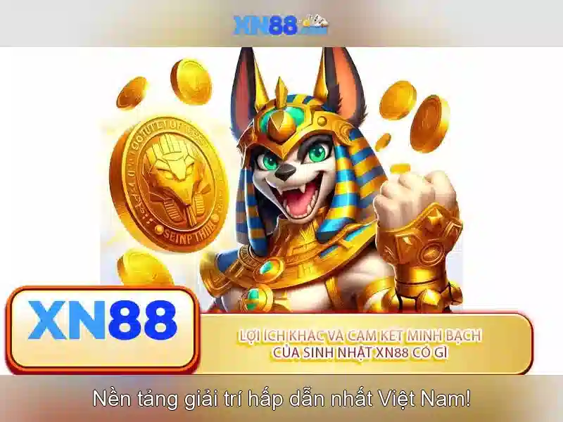 Tải ứng dụng XN88 miễn phí