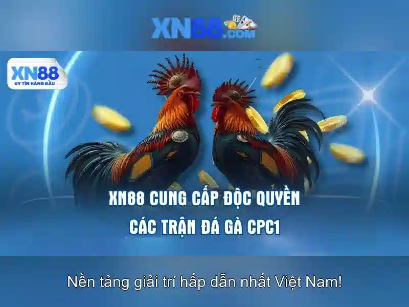 Giới Thiệu Về XN88