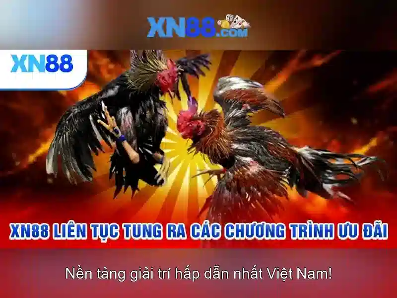 Ưu Điểm Nổi Bật Của XN88 Gaming