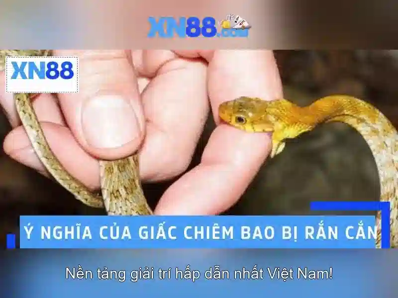 Nền Tảng Tin Cậy Cho Người Chơi Sành Điệu IMG.ME --></p><h3>Dịch Vụ Hỗ Trợ 24/7</h3><p>Đội ngũ hỗ trợ khách hàng của XN88 luôn sẵn sàng giải đáp mọi thắc mắc trong thời gian thực. Người chơi có thể liên hệ qua chat trực tuyến, email hoặc gọi điện để nhận được sự trợ giúp kịp thời.</p><h2><strong>XN88 Slot</strong> – Trải Nghiệm Đỉnh Cấp Với Nhiều Lựa Chọn</h2><p>Với giao diện thân thiện và dễ sử dụng, XN88 giúp người chơi nhanh chóng làm quen với các trò chơi Slot. Tính năng tự động hóa và tùy chỉnh cá nhân hóa giúp người chơi tối ưu hóa trải nghiệm cá nhân.</p><p class='body_img'></p><h3>Dịch Vụ Hỗ Trợ 24/7</h3><p>Đội ngũ hỗ trợ khách hàng của XN88 luôn sẵn sàng giải đáp mọi thắc mắc trong thời gian thực. Người chơi có thể liên hệ qua chat trực tuyến, email hoặc gọi điện để nhận được sự trợ giúp kịp thời.</p><h2><strong>XN88 Slot</strong> – Trải Nghiệm Đỉnh Cấp Với Nhiều Lựa Chọn</h2><p>Với giao diện thân thiện và dễ sử dụng, XN88 giúp người chơi nhanh chóng làm quen với các trò chơi Slot. Tính năng tự động hóa và tùy chỉnh cá nhân hóa giúp người chơi tối ưu hóa trải nghiệm cá nhân.</p><p class='body_img'><div class=