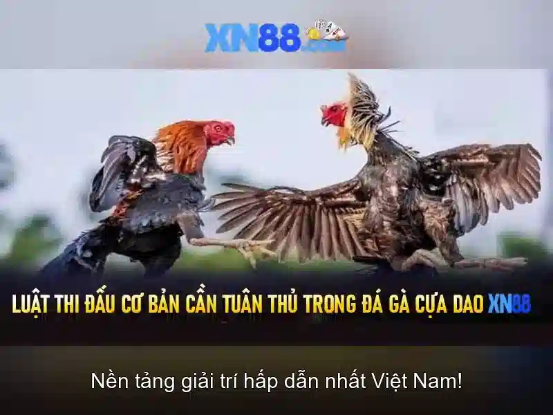 Ưu Điểm Của XN88 Slot – Lựa Chọn Hoàn Hảo Cho Người Chơi